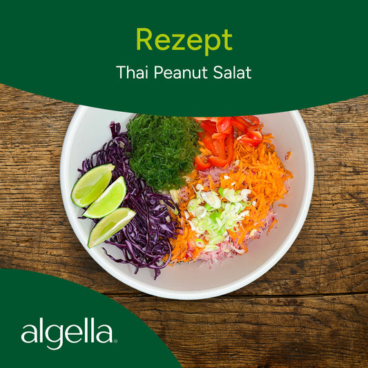 algella.nudel Thai Salat mit Erdnusssauce und Rotkohl
